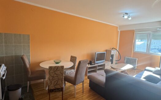 One bedroom apartment for rent, Krivi most, Podgorica