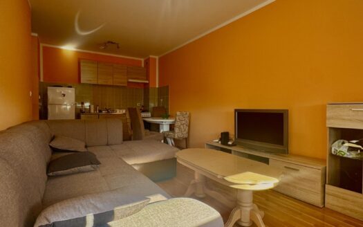 One bedroom apartment for rent, Krivi most, Podgorica