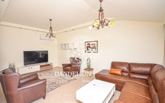 The Golden Leaf for rent, Momišići, Podgorica