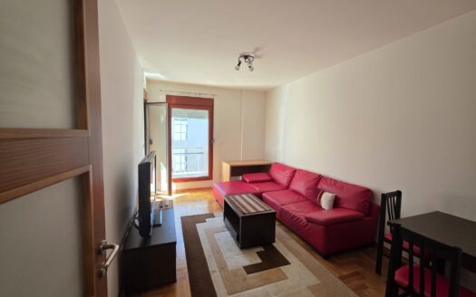 One bedroom apartment for rent, Pobrežje, Podgorica