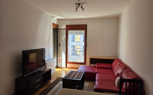 One bedroom apartment for rent, Pobrežje, Podgorica