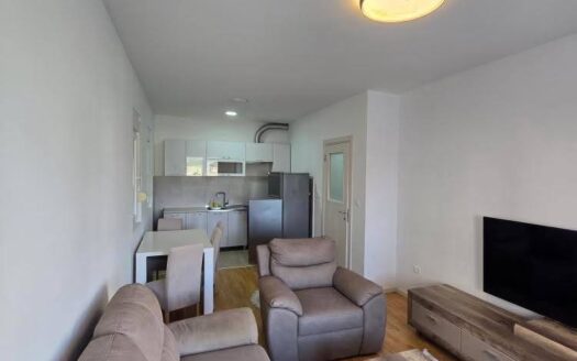 One bedroom apartment for rent, Stari Aerodrom, Podgorica