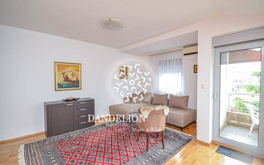 Cosy studio for rent, Stari Aerodrom, Podgorica