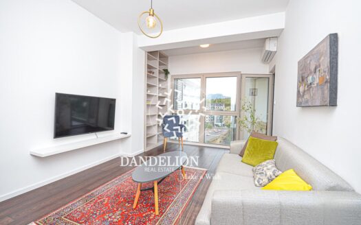 Skyfield apartment for rent, Vezirov most, Podgorica