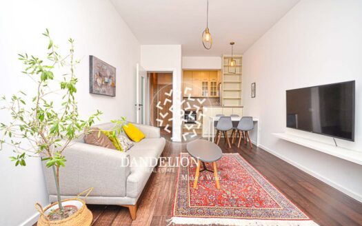 Skyfield apartment for rent, Vezirov most, Podgorica