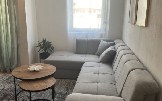 One bedroom apartment for rent, Zabjelo, Podgorica