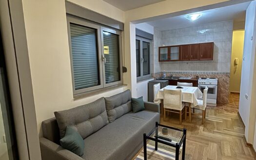 Studio apartment for rent, Zabjelo, Podgorica