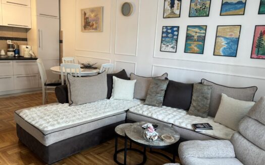 One bedroom apartment for rent, Krivi most, Podgorica