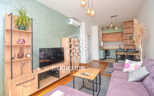 The Violet for rent, Green Level, Podgorica