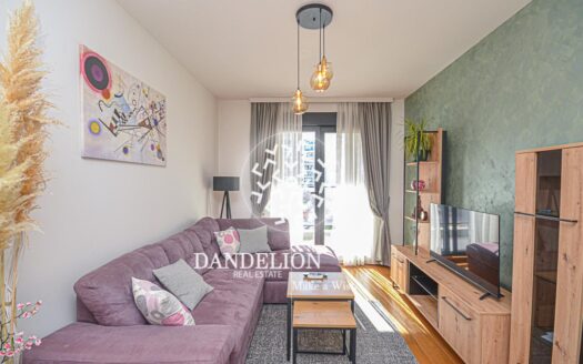 The Violet for rent, Green Level, Podgorica