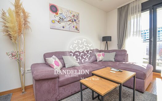 The Violet for rent, Green Level, Podgorica