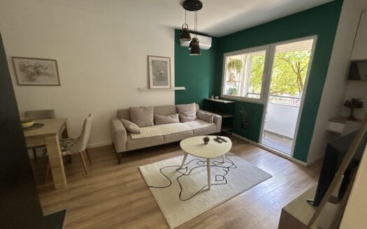 Jednosoban stan za izdavanje, Blok 5, Podgorica