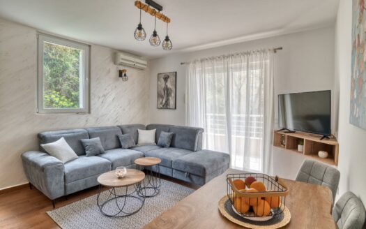 Jednosoban stan za izdavanje, Rafailovići, Budva