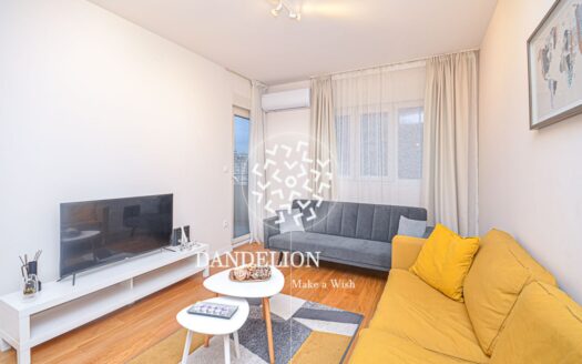 The Lady’s Apartment for rent, Central Point, Podgorica