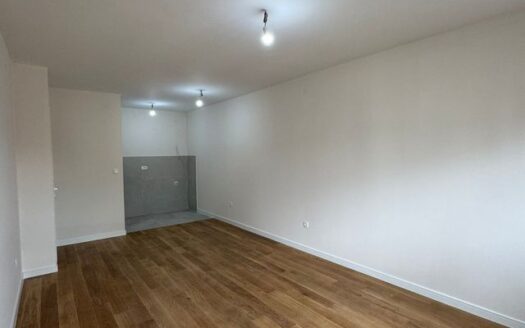 One bedroom apartment for rent, Central Point, Podgorica