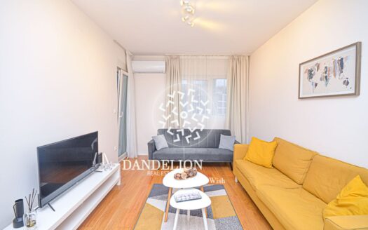 The Lady’s Apartment for rent, Central Point, Podgorica