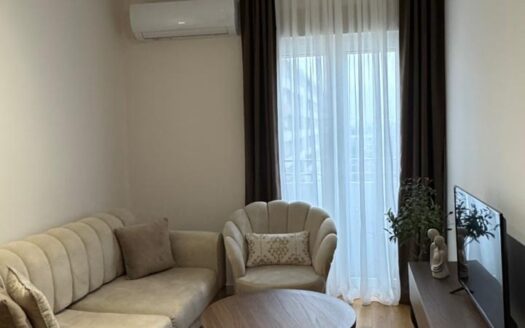 One bedroom apartment for rent, Central Point, Podgorica