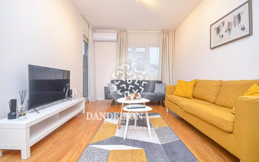 The Lady’s Apartment for rent, Central Point, Podgorica