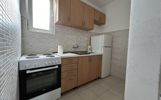 One bedroom apartment for rent, Dalmatinska, Podgorica