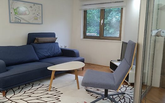 One bedroom apartment for rent, Momišići, Podgorica