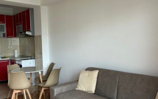 Jednosoban stan za izdavanje, Preko Morače, Podgorica