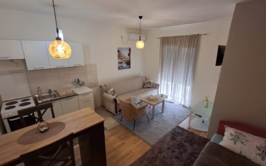 Studio apartment for rent, Stari Aerodrom, Podgorica
