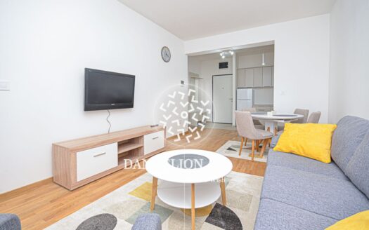 Sungold apartment for rent, Stari Aerodrom, Podgorica