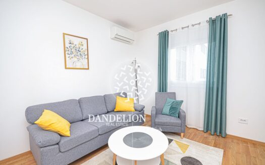 Sungold apartment for rent, Stari Aerodrom, Podgorica