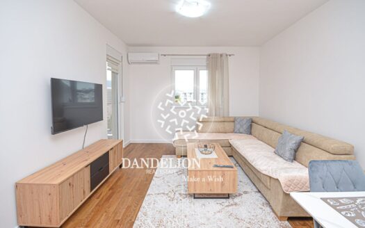 One bedroom apartment for rent, Stari Aerodrom, Podgorica