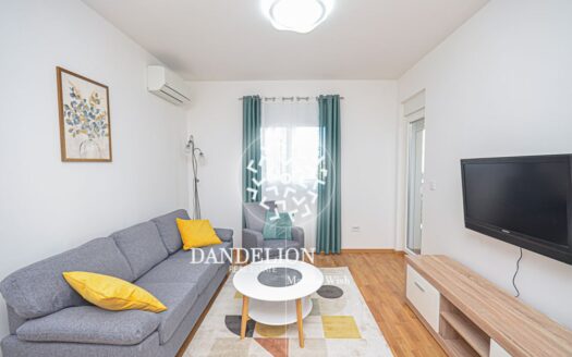 Sungold apartment for rent, Stari Aerodrom, Podgorica