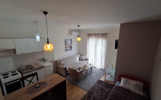 Studio apartment for rent, Stari Aerodrom, Podgorica