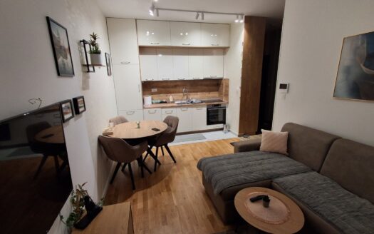 One bedroom apartment for rent, Tološi, Podgorica