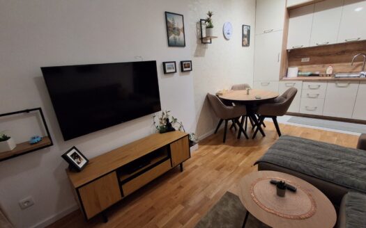 One bedroom apartment for rent, Tološi, Podgorica