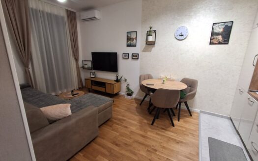 One bedroom apartment for rent, Tološi, Podgorica