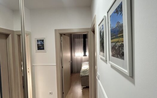 One bedroom apartment for rent, Zabjelo, Podgorica