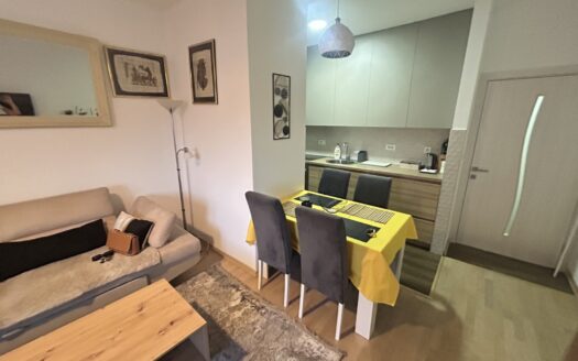 One bedroom apartment for rent, Zabjelo, Podgorica