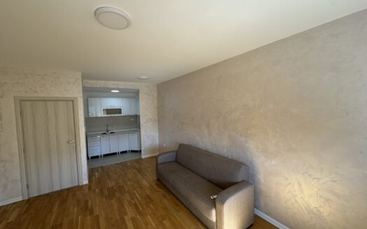 One bedroom apartment for rent, Zabjelo, Podgorica