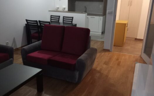 One bedroom apartment for rent, Zabjelo, Podgorica