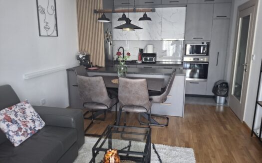 One bedroom apartment for rent, Stara Varoš, Podgorica