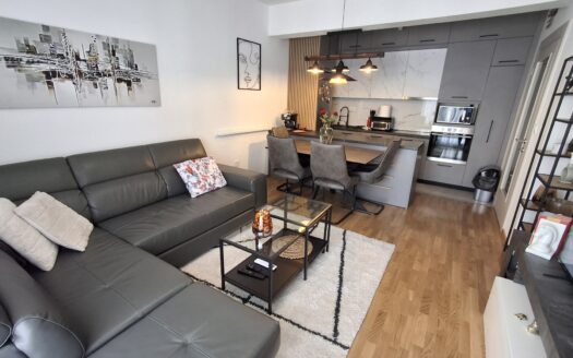 One bedroom apartment for rent, Stara Varoš, Podgorica