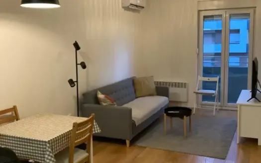 One bedroom apartment for sale, Central Point, Podgorica