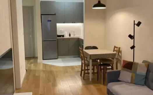 One bedroom apartment for sale, Central Point, Podgorica