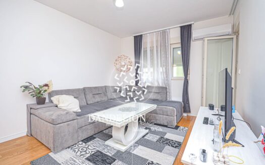 Dandelion, Central Point, Podgorica