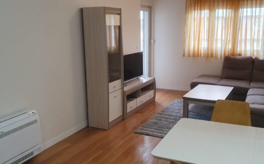 Two bedroom apartment for rent, Central Point, Podgorica