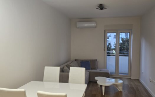 One bedroom apartment for rent, Central Point, Podgorica