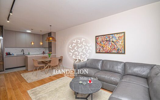 Tulip Touch for rent, Central Point, Podgorica