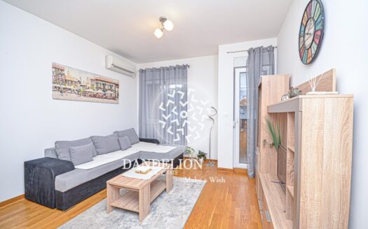 One bedroom apartment for rent, City kej, Podgorica