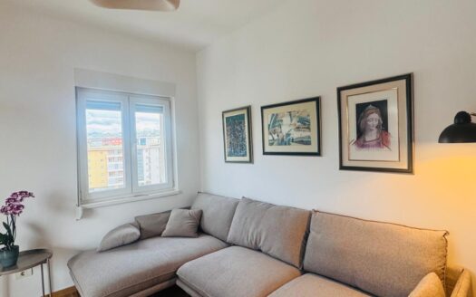 One bedroom apartment for rent, City kvart, Podgorica