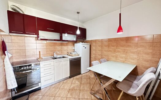 One bedroom apartment for rent, Iza Delte, Podgorica