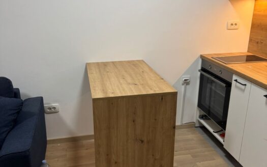 Five studio apartments for rent, Momišići, Podgorica